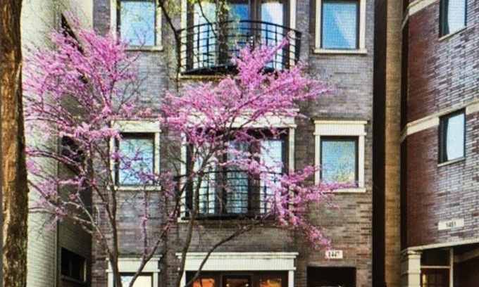 Noble Square Condo | Spacious 3/2 Duplex In Wicker Park Area