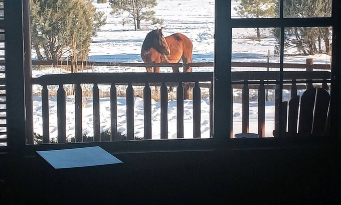 Heber Cabin | Spacious Cabin w/Wild Horses+National Forest+Dog Friendly+White Mountain Views