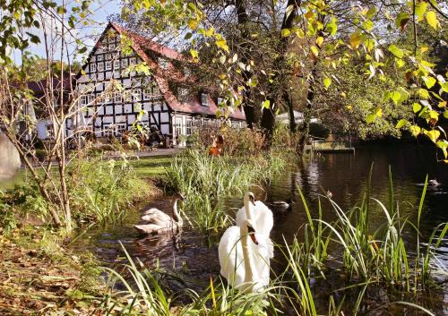 Bad Belzig Hotel | Springbach-Mühle Belzig