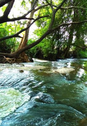 Dambulla House | Stream View Family Resort