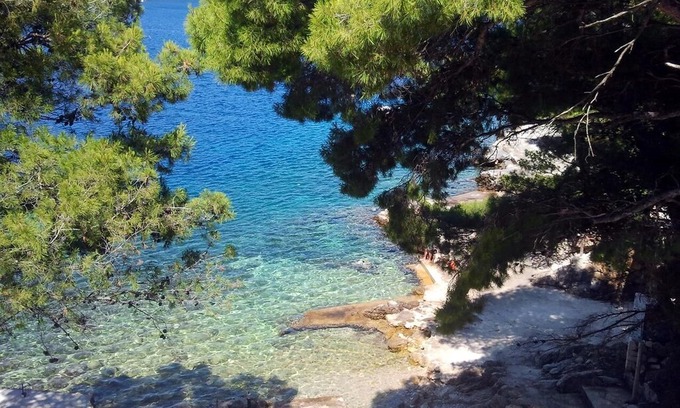 Sobra Apartment | Studio flat near beach Sobra, Mljet (AS-7531-a)