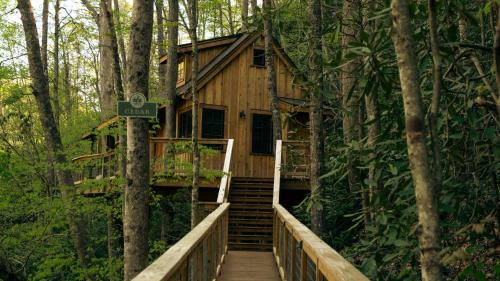 Gatlinburg House | The Cedar in Treehouse Grove at Norton Creek