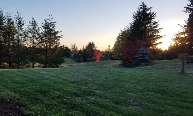 Washougal House | The Crash Pad, A private 1 bedroom, 1 bath 1200 sq ft apartment.