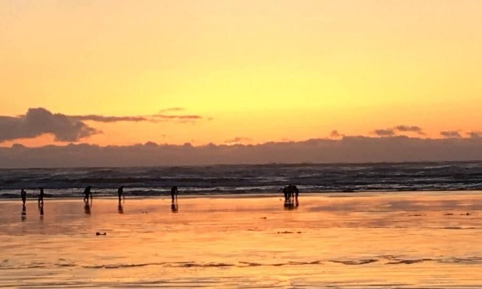 Copalis Beach Hotel | The Lowtide Motel