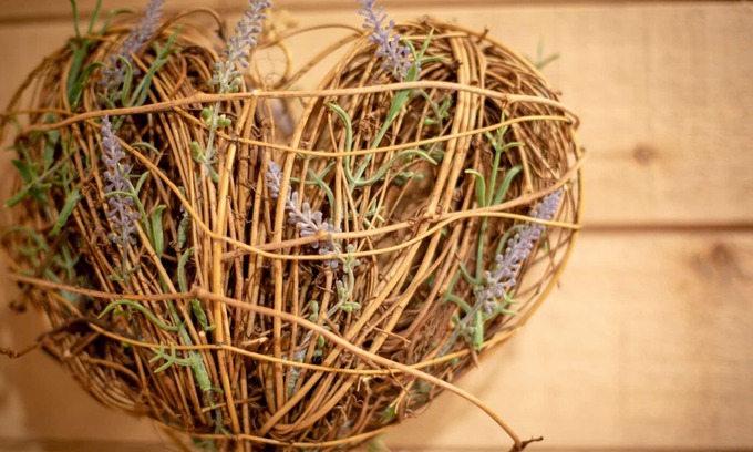 Annesley Woodhouse House | The rest of the Robin Hoods