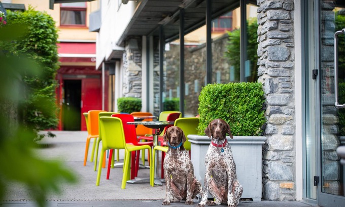 Killarney Hotel | The Ross