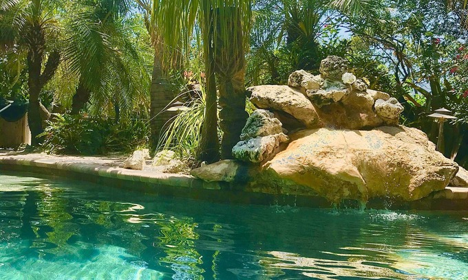 Palmetto House | TROPICAL POOL, PRIVACY! ON WATER! BOAT OPTION, WKLY/MO DISCOUNTS, PETS WELCOME!