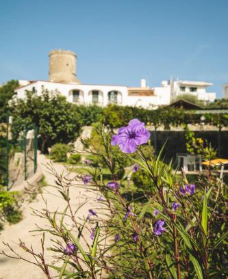 Forio Hotel | Victoria Park Resort