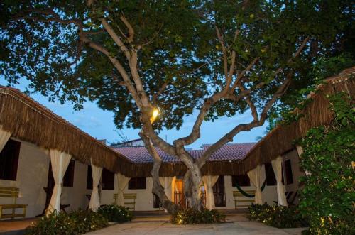 Jijoca de Jericoacoara Apartment | Vila Lua Aparts - Apartamento 1