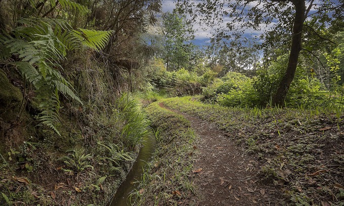 Prazeres House | Villa Dennis - in the sunny and warm south-west of the island of Madeira