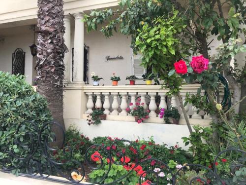 St. Paul's Bay Bed & Breakfast | Villa Zammitella