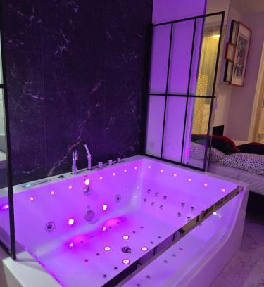 Mirow Apartment | WARSZAWA CHMIELNA PRESTIGE HOME SPA APARTMENTS with Jacuzzi in the Heart of the City