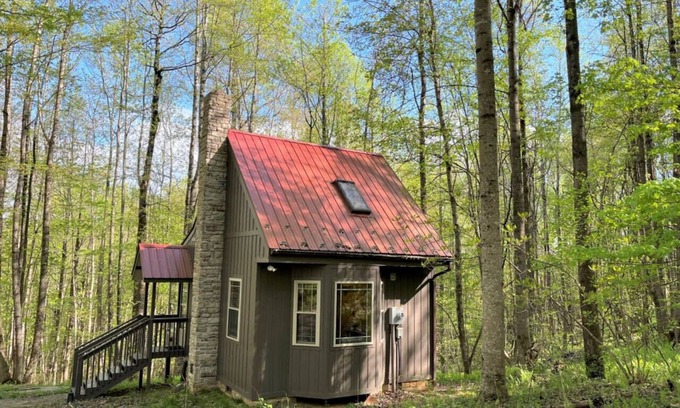 Meadows Of Dan Cabin | Wildcat Forest Cabin by Buffalo Mountain Getaway