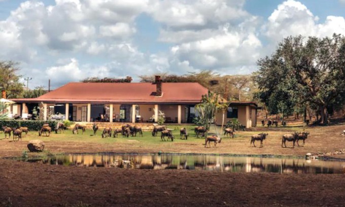 Arusha Hotel | Wildlife Residence