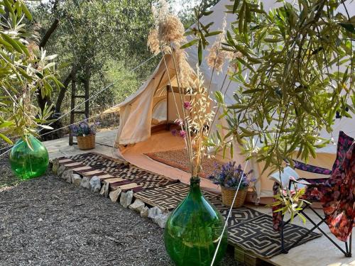 Bisceglie Other | Wishne agriturismo in tende glamping