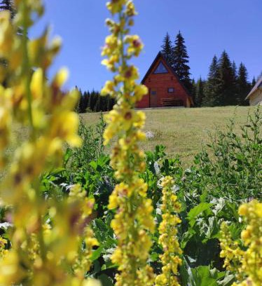 Zabljak Ski Chalet | Wooden cottage Podgora