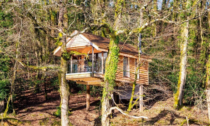 Beaworthy Apartment | Yeworthy Eco-Treehouse