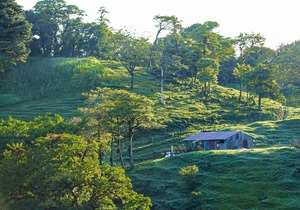 Burbi Lake Lodge
