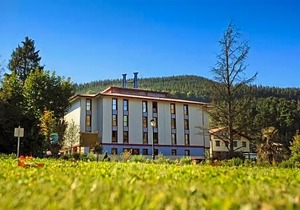Hotel Balneario Areatza