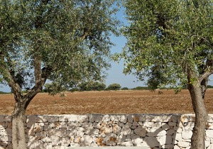 Grand Hotel Masseria Santa Lucia