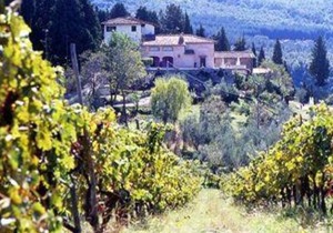 Podere Castellare