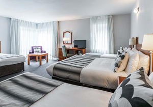 Wilton Hotel Bray