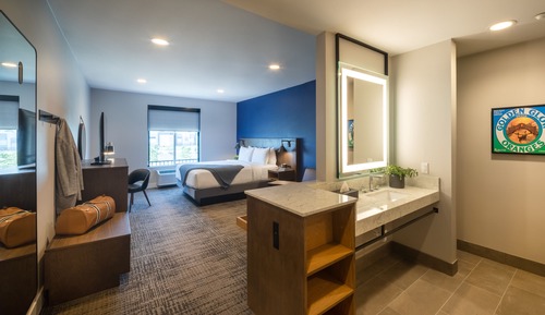 Room, 1 King Bed with Sofa bed