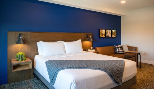 Room, 1 King Bed with Sofa bed, Accessible