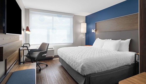 Room, 1 King Bed