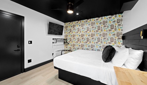 Luxury Studio Suite