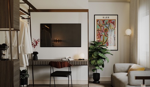 Luxury Studio Suite
