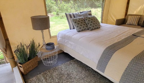 Glamping Eucalipto
