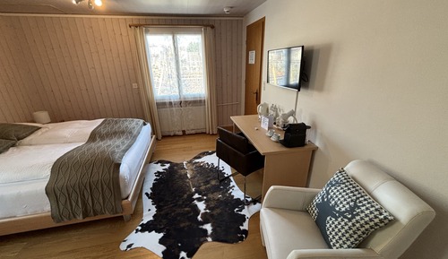 Basic Double Room, 1 Queen Bed, Mountain View