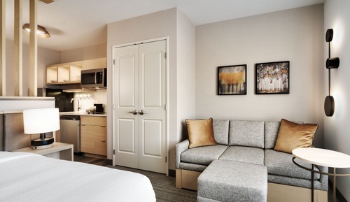 Studio, 1 King Bed with Sofa bed
