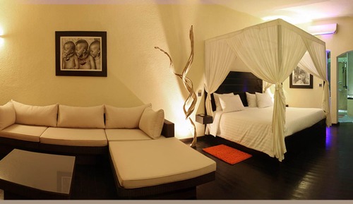 Rhino Suite