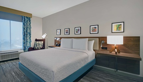 Room, 1 King Bed