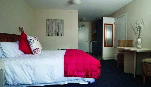 Standard Studio, Non Smoking, Kitchenette (Queen Studio)