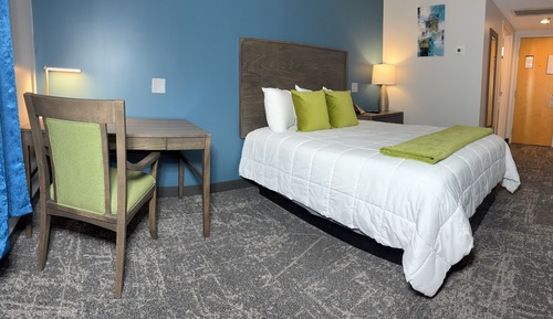 Standard Single Room, 1 Queen Bed, Non Smoking