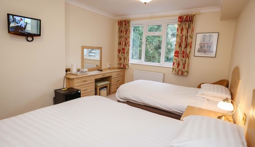 Standard Twin Room