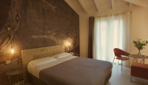 Premium Room