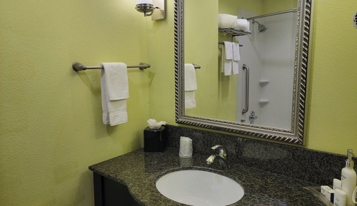 Standard Room, 1 King Bed, Accessible (Mobility, Accessible Tub)
