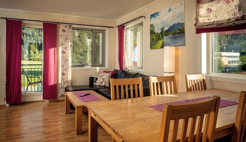 Apartment, Mountain View (Pets not allowed)