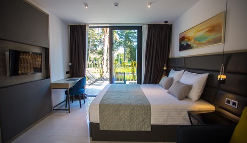 Standard Room, Balcony, Park View