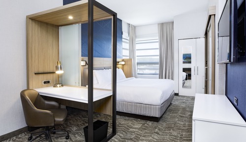 Suite, 1 King Bed with Sofa bed