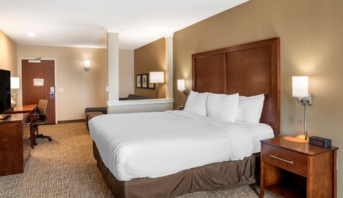 Suite, 1 King Bed with Sofa bed, Accessible, Non Smoking