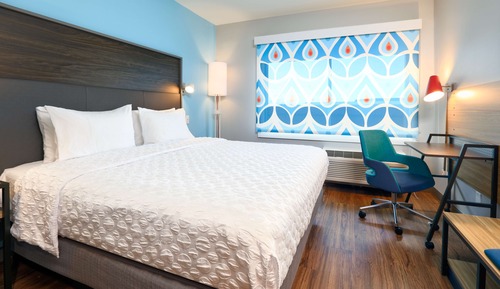 Room, 1 King Bed