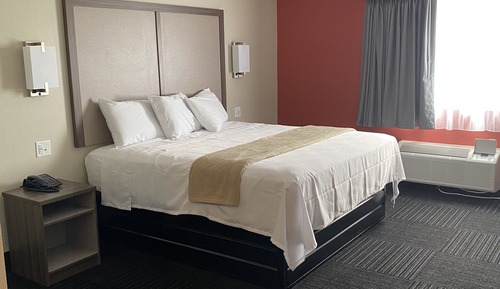 Single Room, 1 King Bed