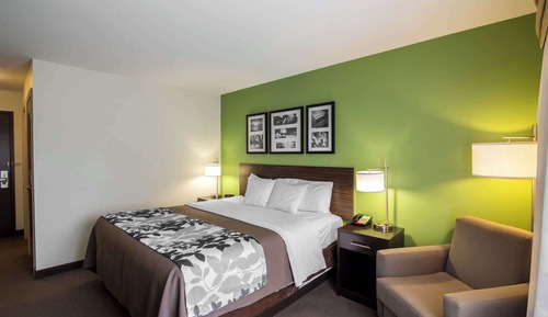Room, 1 King Bed, Accessible, Non Smoking