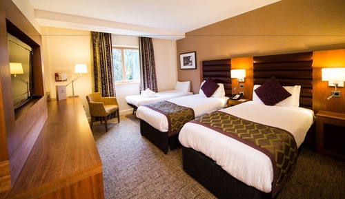 Standard Twin Room, Accessible
