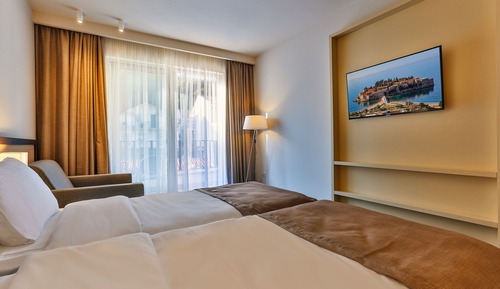 Superior Double or Twin Room